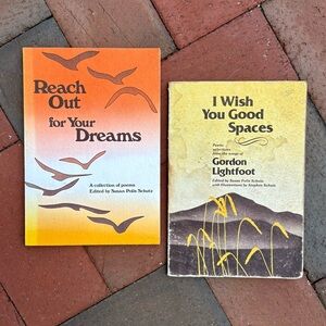 2 Gordon Lightfoot Songs Poems Reach Out for Your Dreams Seagull Poetry Inspo